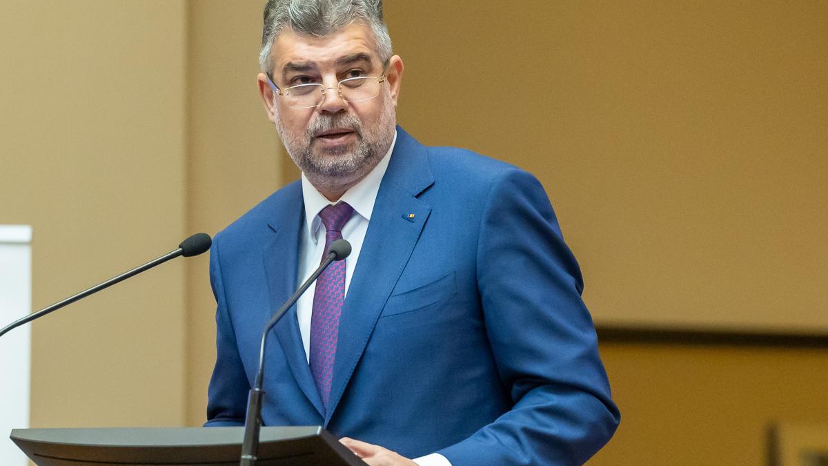 ciolacu-grizonat_44403300