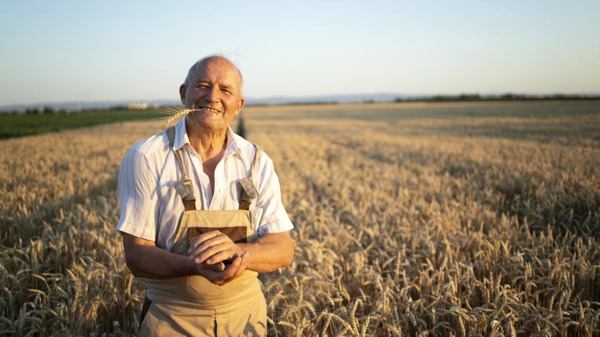 portrait-successful-senior-farmer-agronomist-standing-wheat-field_46890300