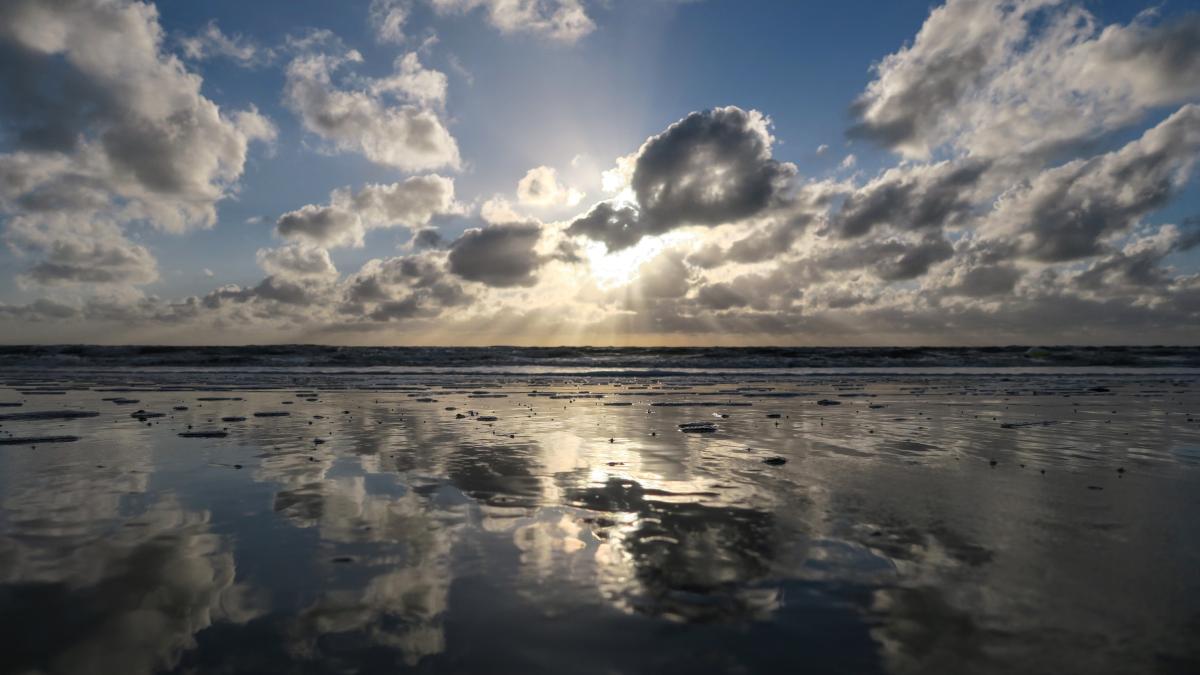 pexels-pixabay-163867_82912600