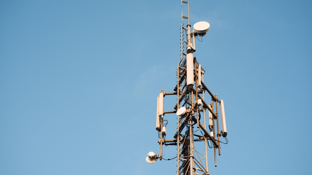 51641848674_304b1a66ac_k_13126700