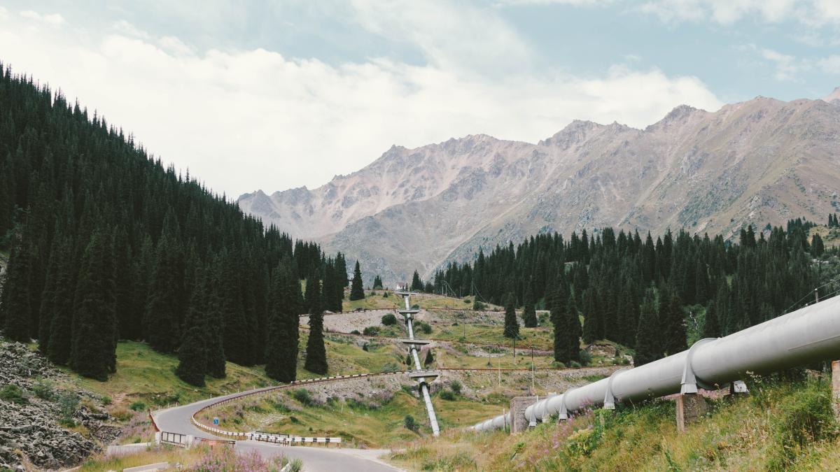 darya-jum-eianx2oqrfm-unsplash_43192500