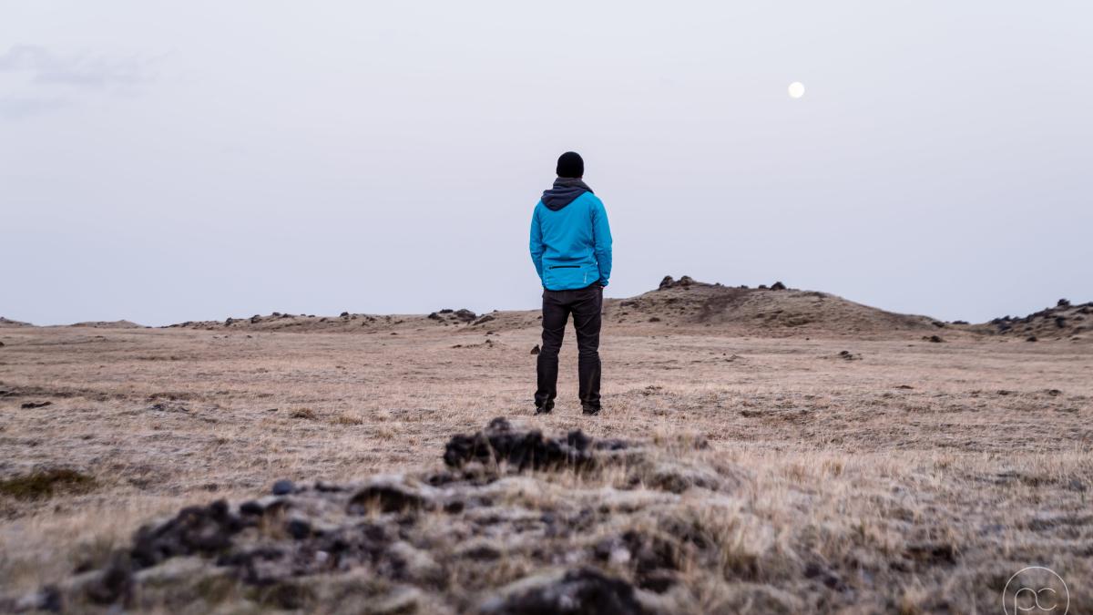 pexels-gabriela-palai-397980_50993400