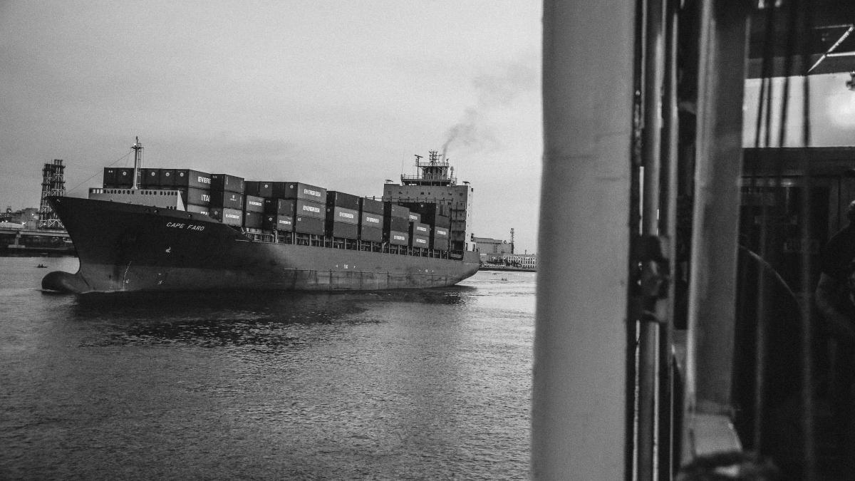 pexels-denniz-futalan-942542_81365800