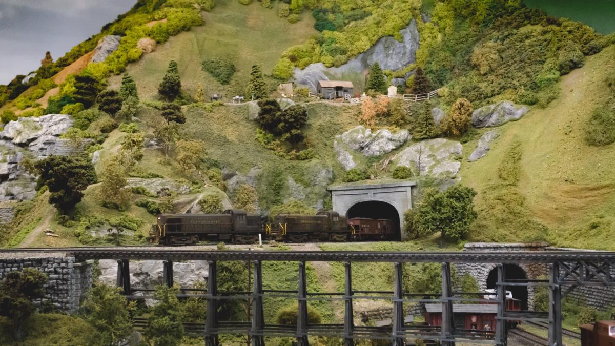 pexels-tina-nord-796628-1_49246400