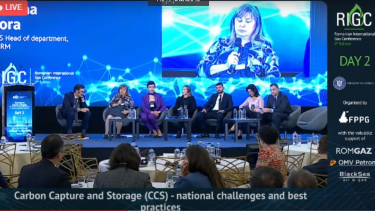 Stocarea dioxidului de carbon în România. Florina Sora (ANRM): Sunt industrii care fără CSS nu vor mai putea funcționa