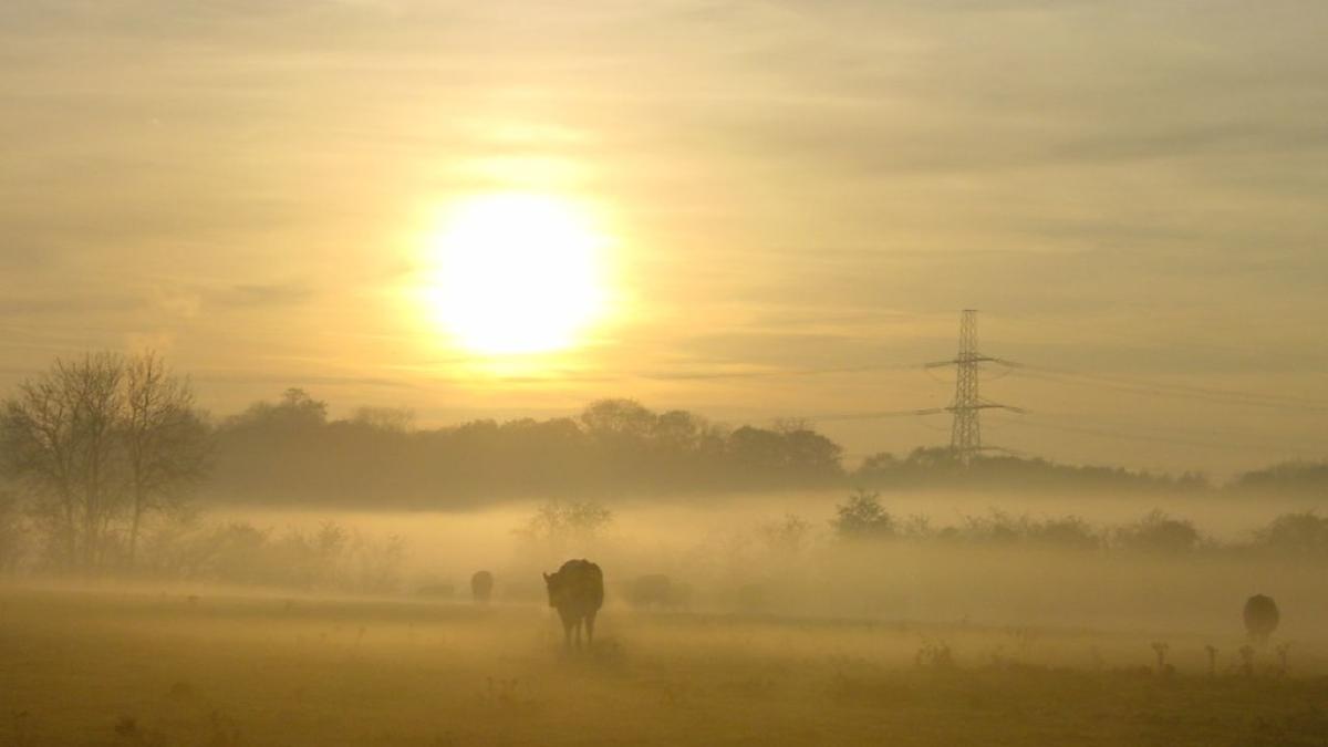 76274998_af24828dca_b_30695200