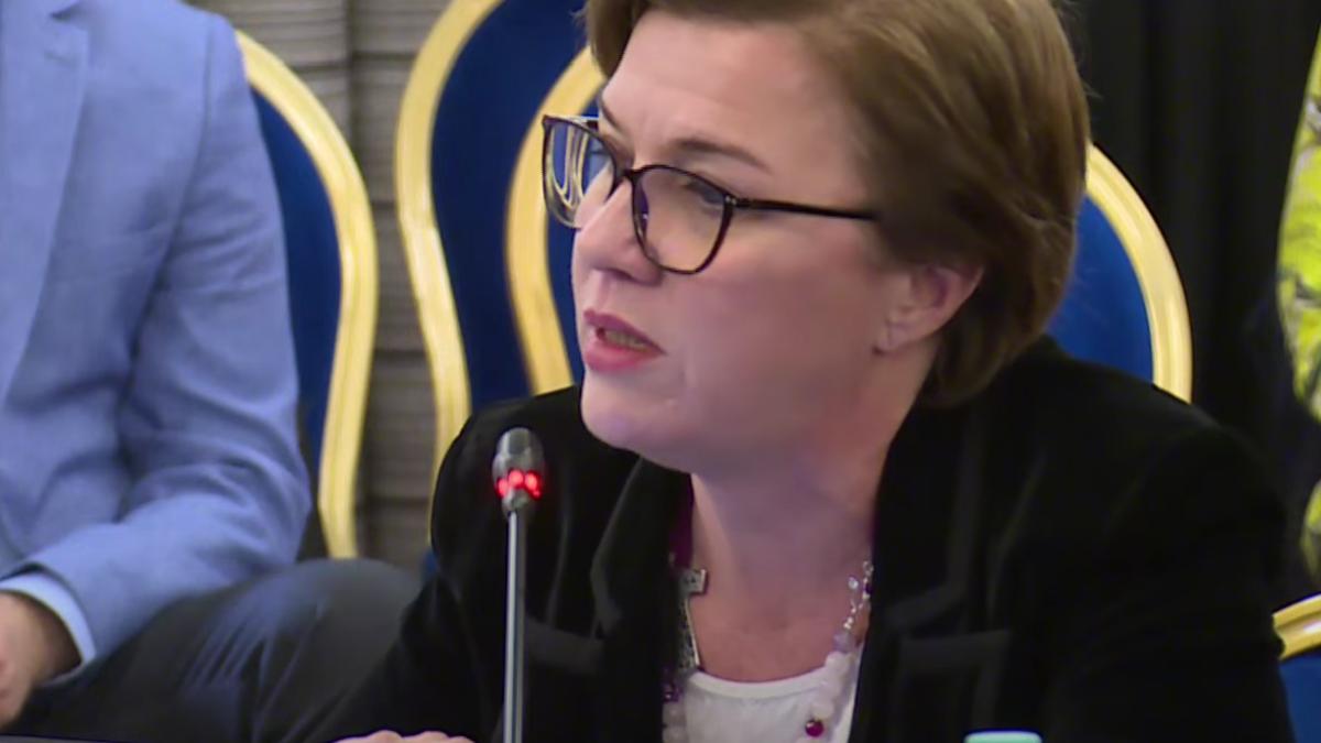 Daniela Dărăban: ”Investițiile în rețele, esențiale pentru tranziția energetică”
