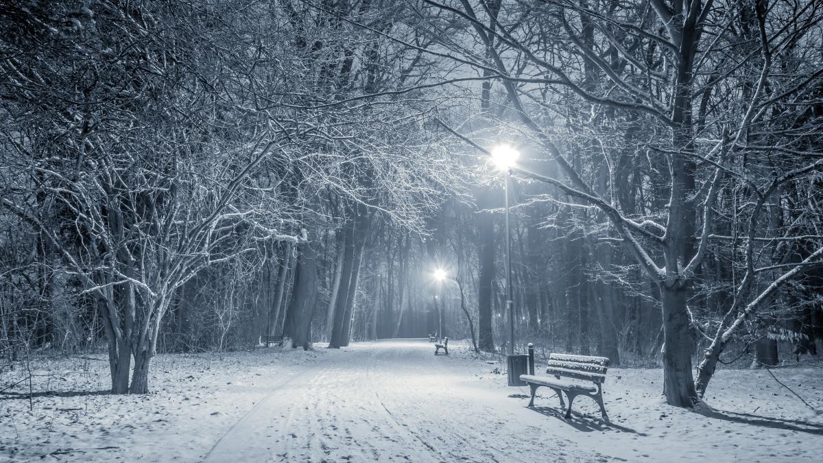 illuminated-snowy-pathway-park-cold-winter-night_86299100