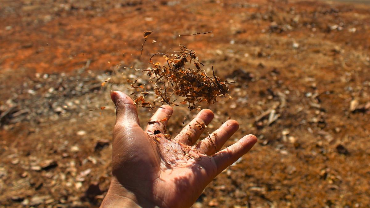 silas-sousa-aleiolj416y-unsplash_44747400