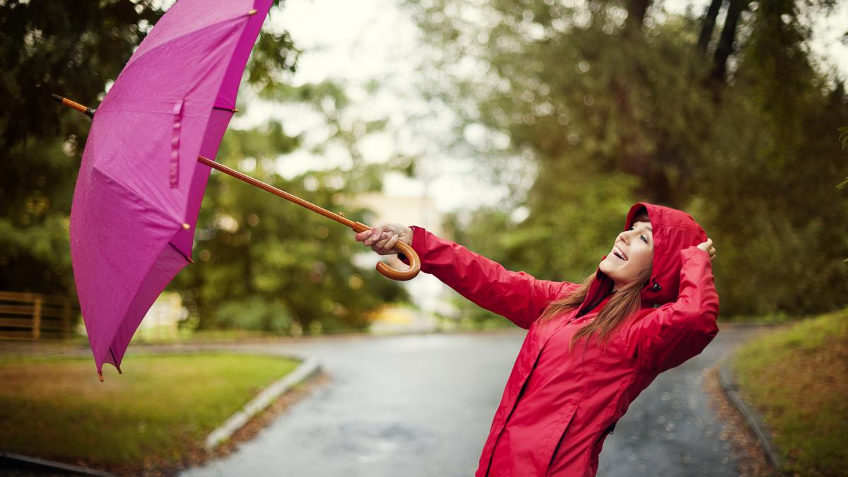 gone-with-wind_66422500