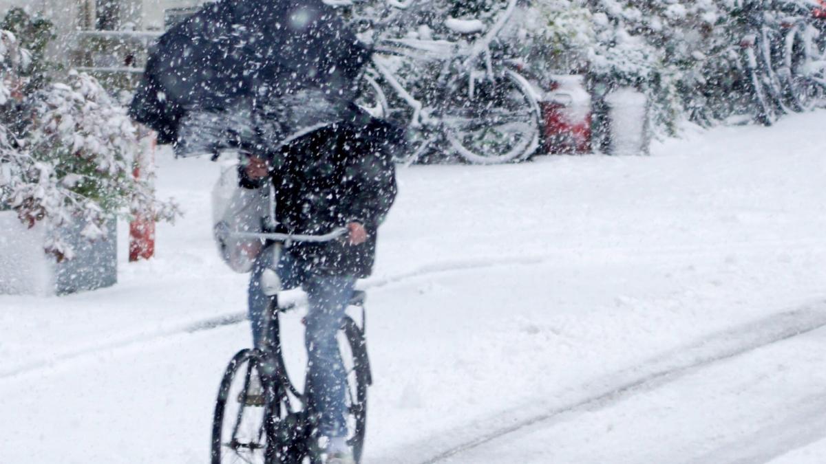 iris-veeys0v0ioc-unsplash_88125100