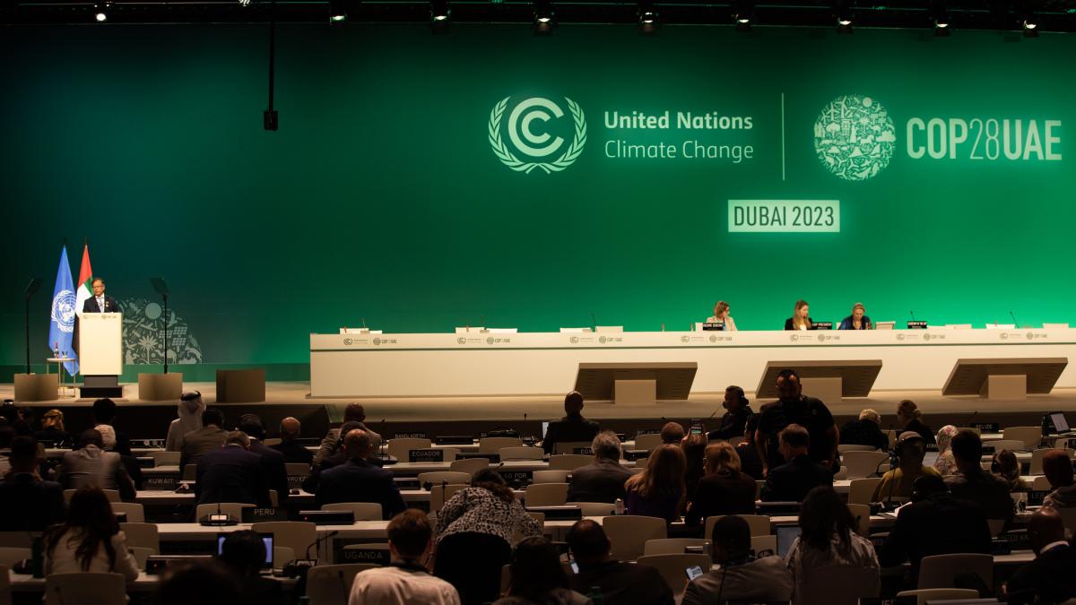 53368783539_763c28c726_k_22916600