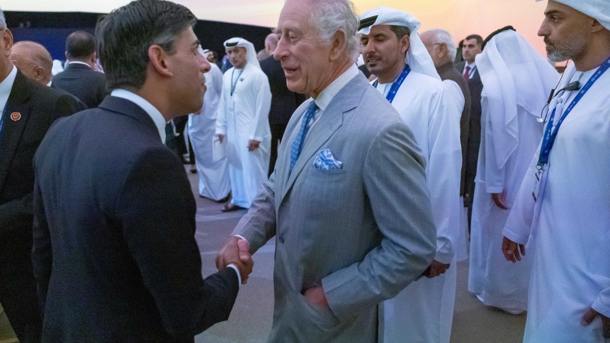 regele-charle-sunak_36657300