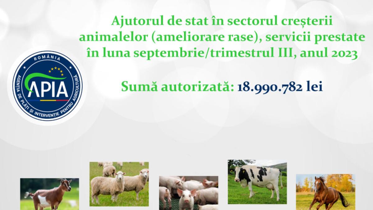 ameliorare_rase_22-1024x683_38043300