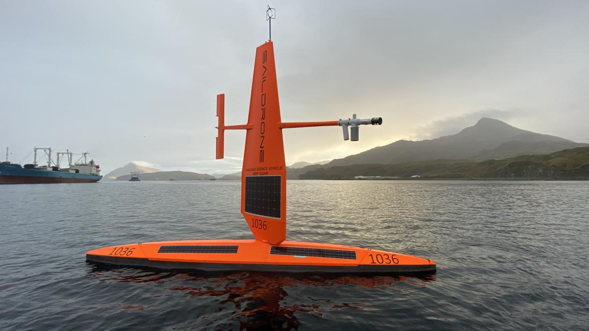 drona-marina_17584000