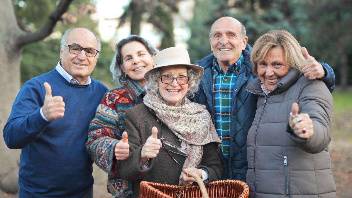 group-seniors-look-mushrooms-park_44683900