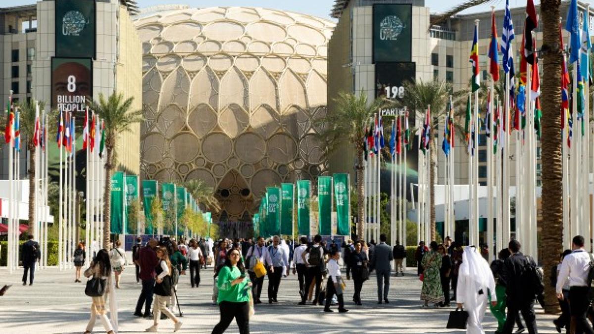 53367295367_dac6eabbca_k-1_10090700