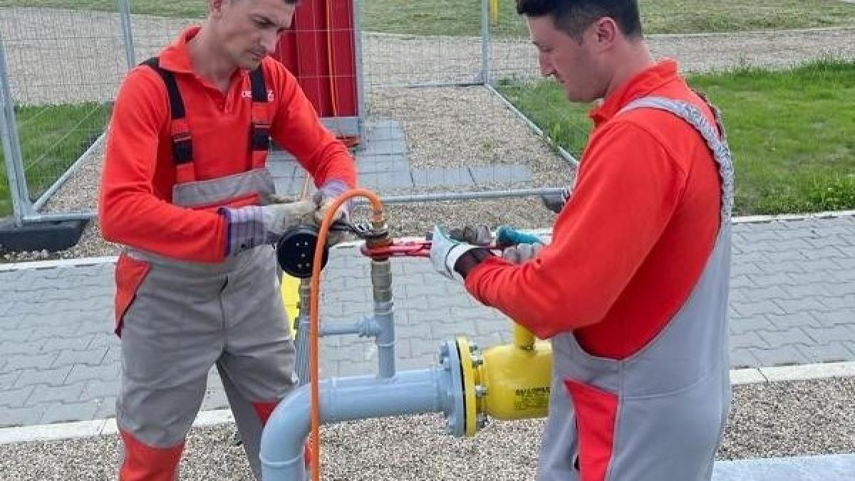 delgaz-grid_48171200