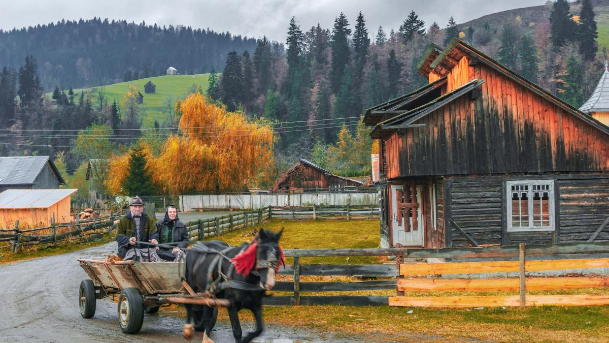 andrei-turca-pi-jgb1nj1k-unsplash_52435500