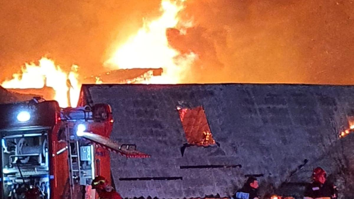 incendi-ferma-dacilor-3_39108900