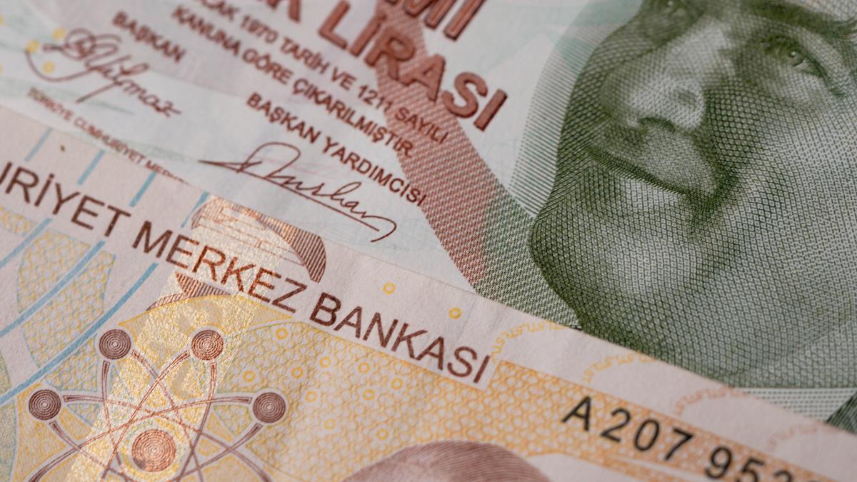 51855058121_4a3daf1cc9_k_31677300