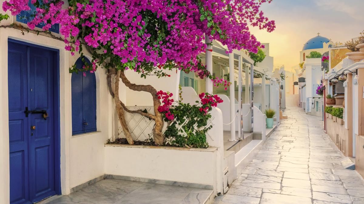 view-oia-street-mornong_03062700