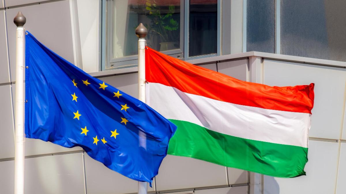flags-european-union-hungary-are-waving-wind_94428400
