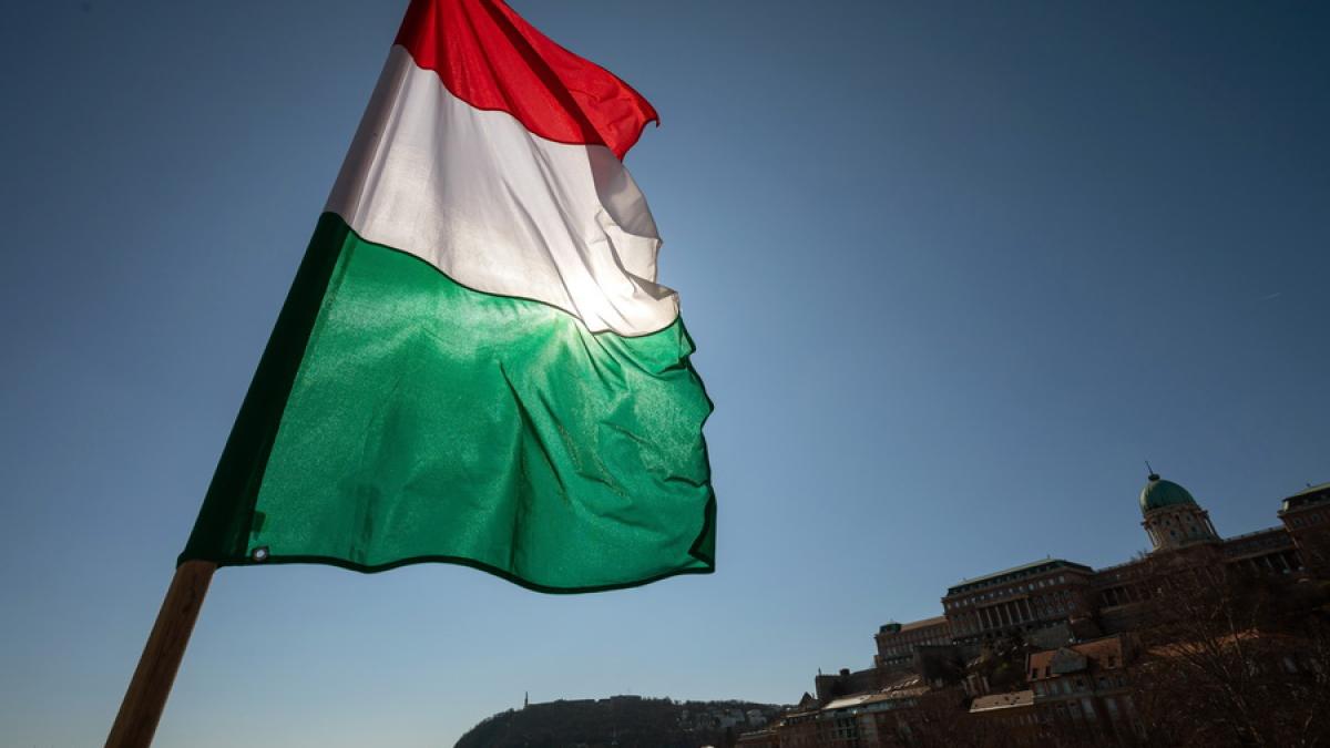 budapesta_resize_63680100