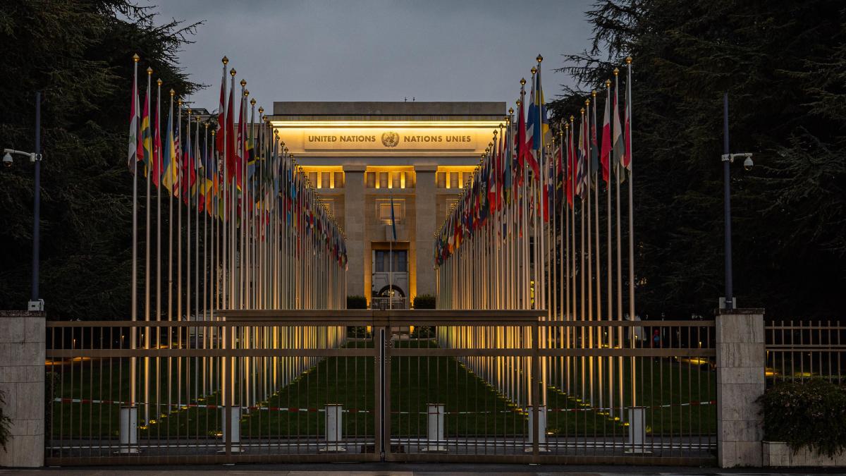 52869208703_559974bbc3_k_60741200