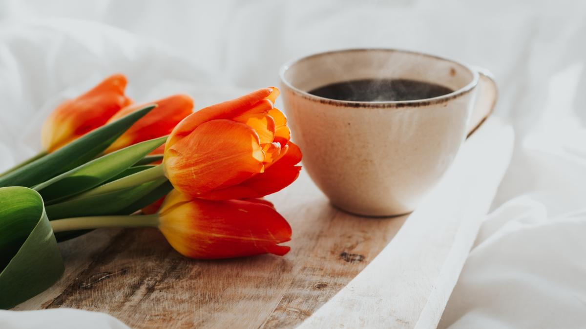 frosty-ilze-z1os8sa9xmy-unsplash_48855700