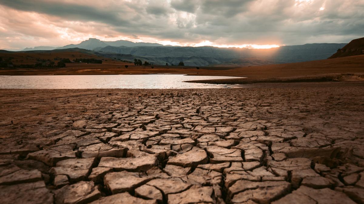 redcharlie-hxxmkwvubgi-unsplash_41718400