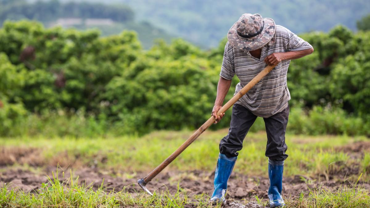 male-farmer-who-is-using-shovel-dig-soil-his-rice-fields_53747100