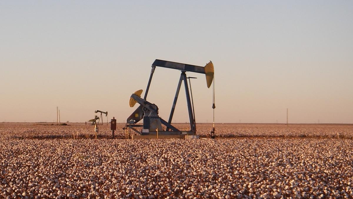 bazinul-permian_83878200