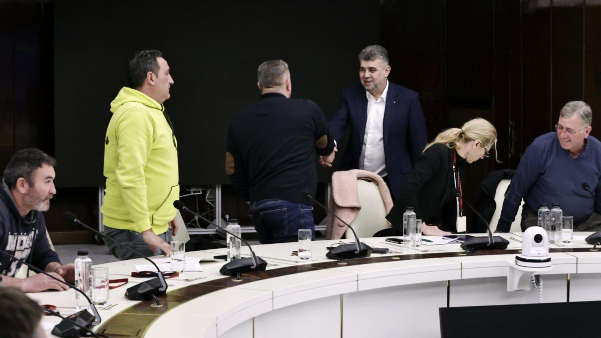 ciolacu-fermieri_78803200