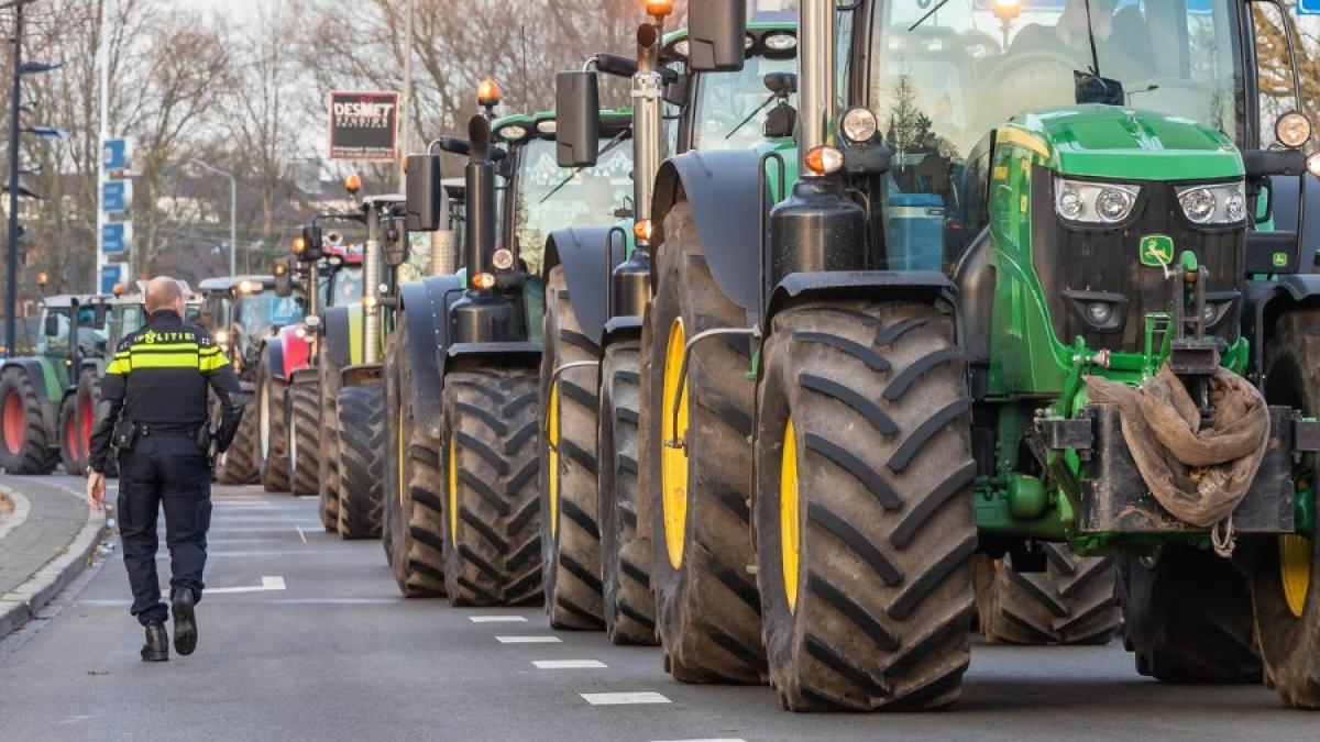 group-people-road_19789700