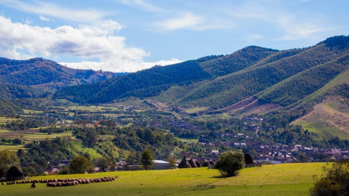 img-20240208-wa0008-1024x780_02708000