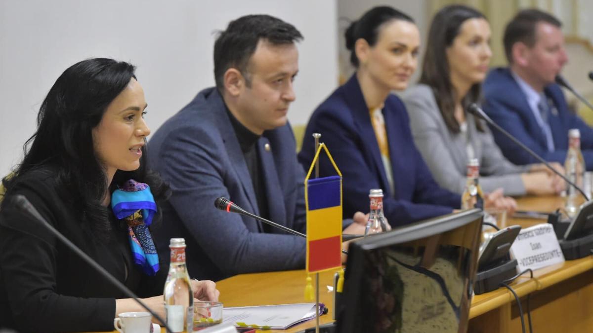 simona-bucura-oprescu_94710800