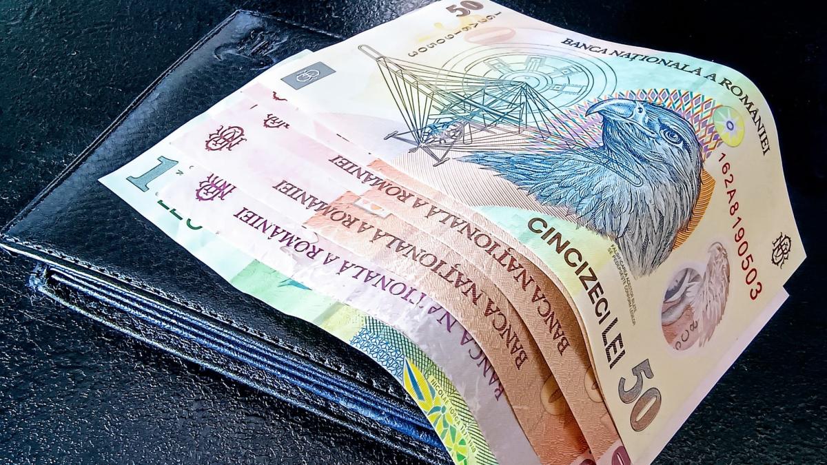 bani-lei-portofel_82884700