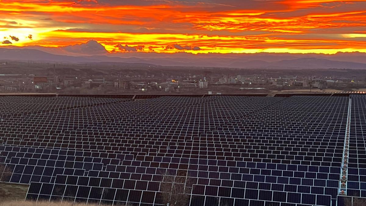 panouri-fotovoltaice-borzesti_50709400