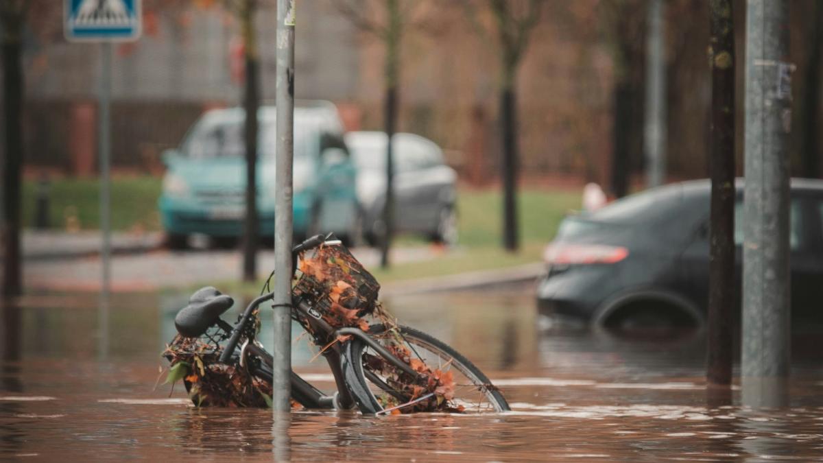 juan-manuel-sanchez-3dafyk7hkve-unsplash-1_39249600