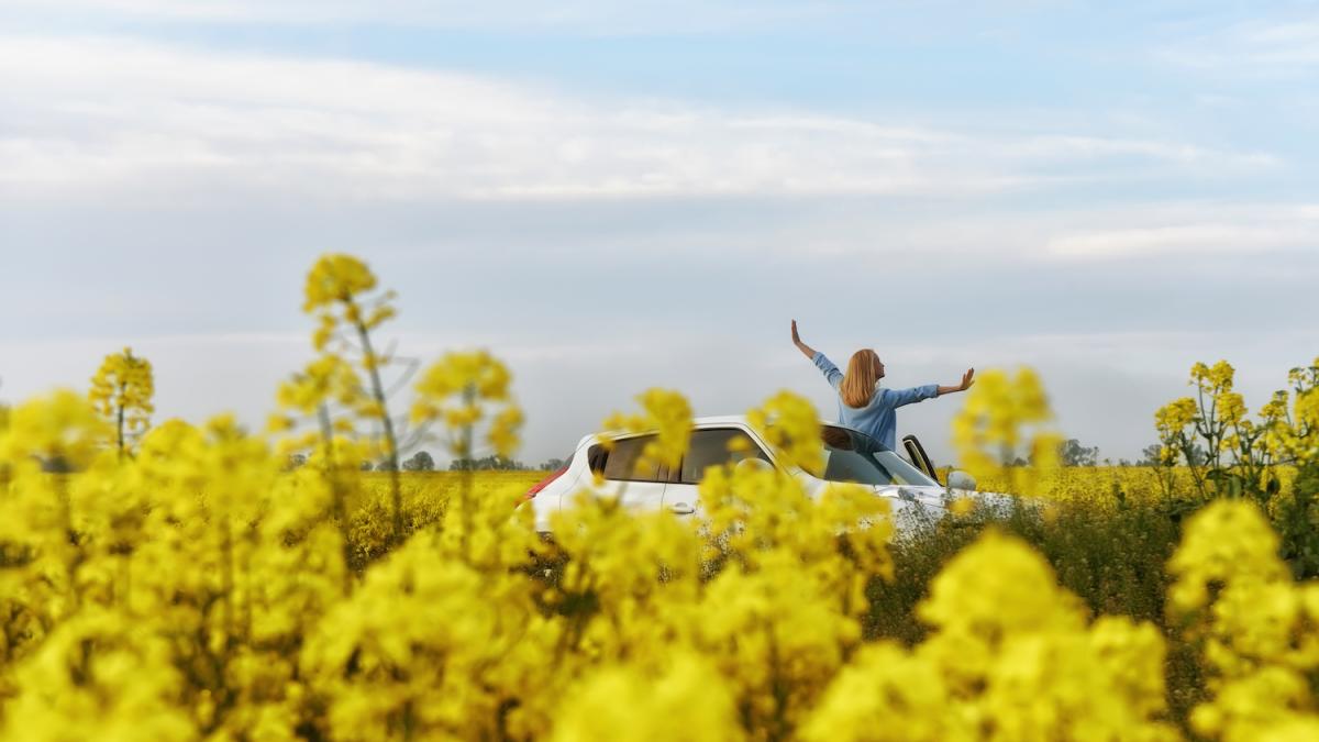 associative-photo_-shutterstock_22951000