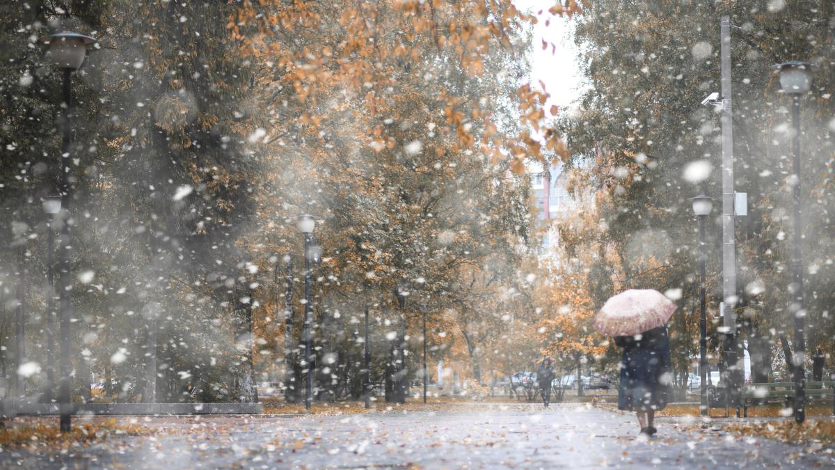 vreme-mohotata--foto_56612900