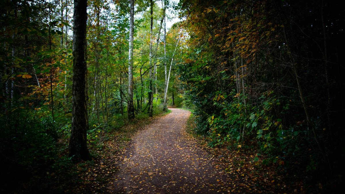 pexels-photo-14435079_85007700