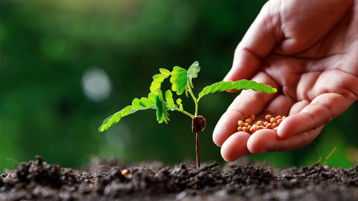 dcbusiness-ro_esenzi-ro_31040800