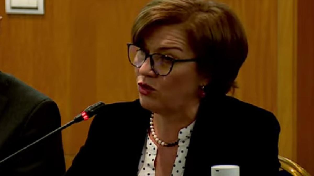 Daniela Dărăban: Tranziția către o Românie verde și provocările sistemului energetic