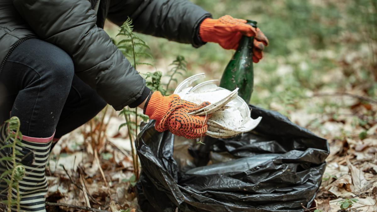 Curățenia de primăvară în România! Ediția 2024 - conferință DC Media Group