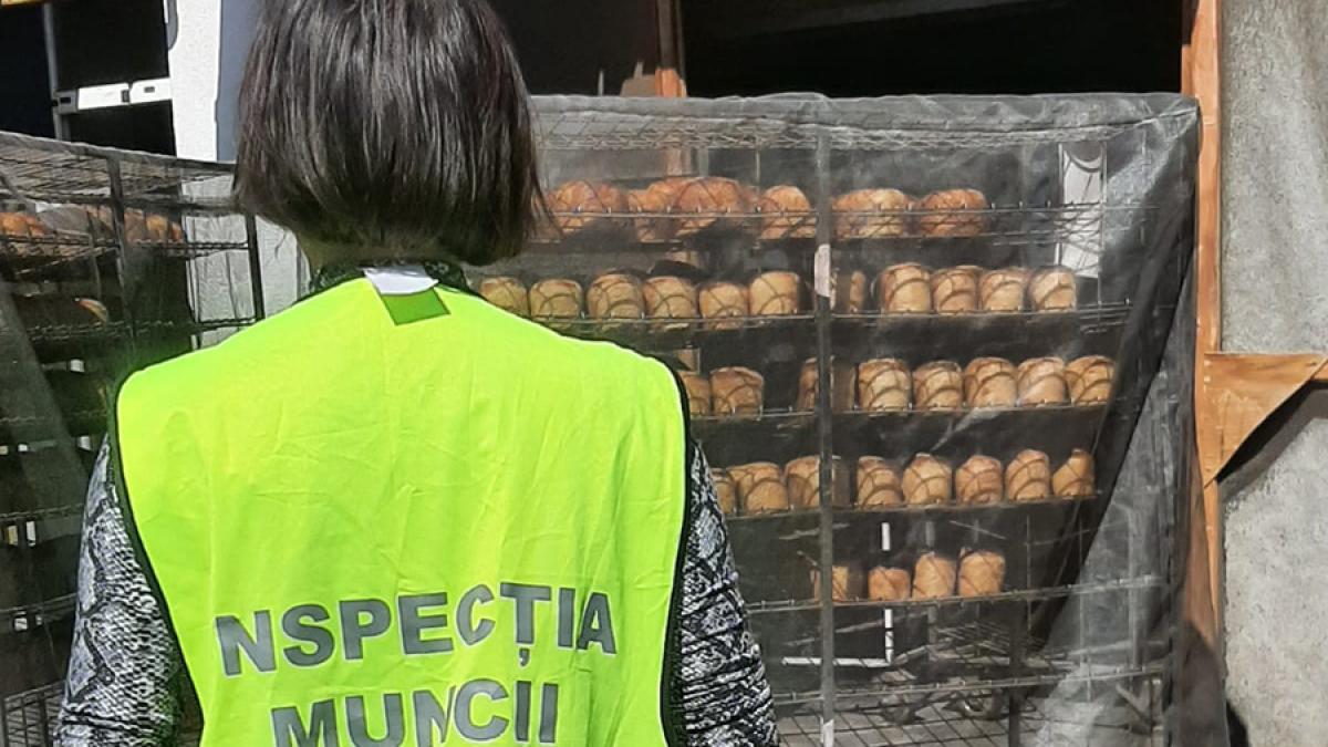 inspectia-muncii_95456900