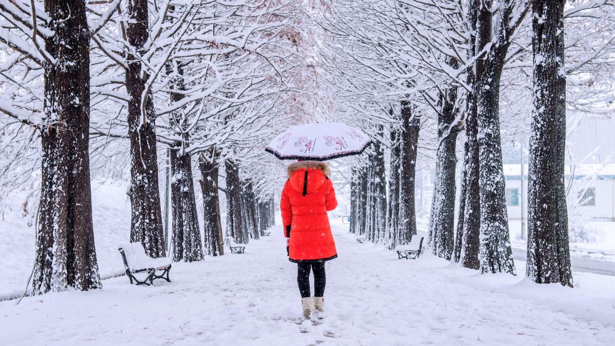 girl-with-umbrella-walking-path-row-trees-winter-1_10645000