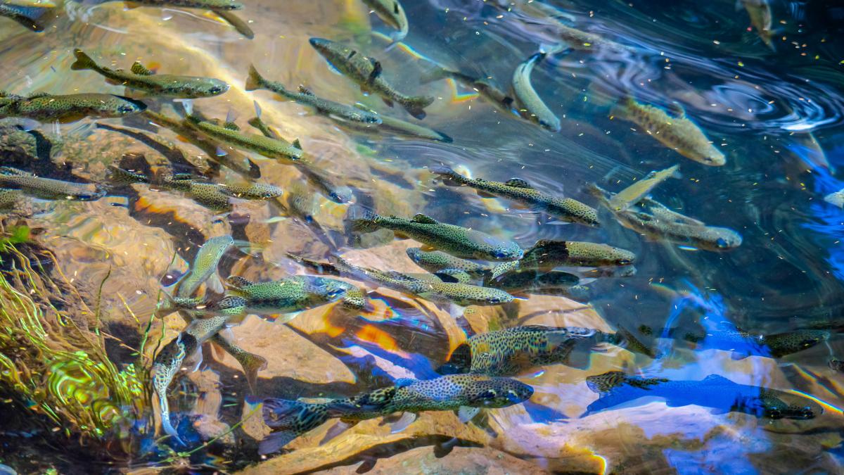 mark-huigen-4xdc1vzab_0-unsplash_94718900