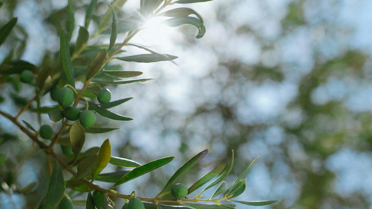 pexels-orlovamaria-4946875_83786000